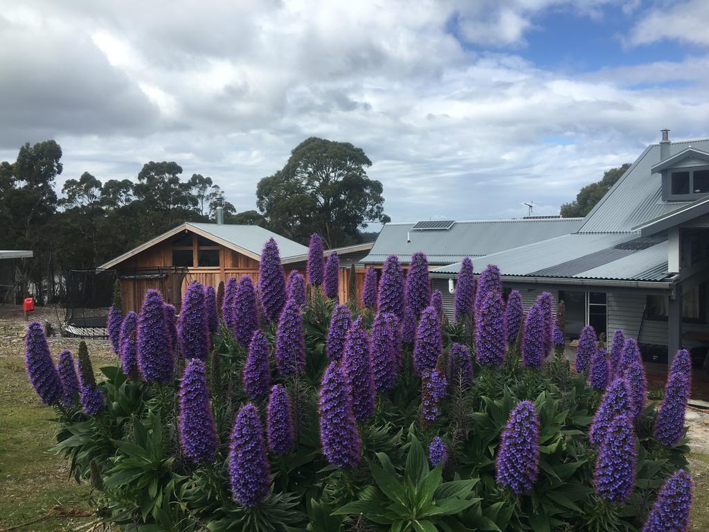 Bruny Island Lodge South Bruny Екстериор снимка